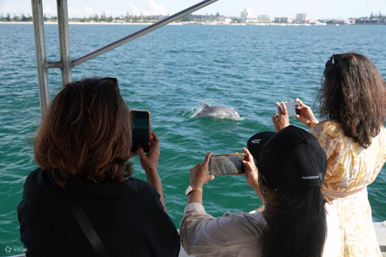 Dolphin Eco-Cruise di Dolphin Discovery Centre di Bunbury