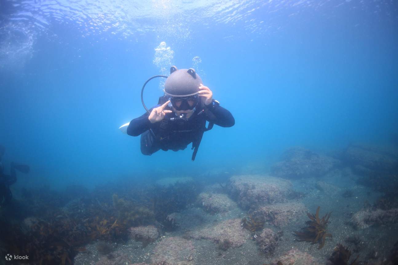 esperienza di immersione