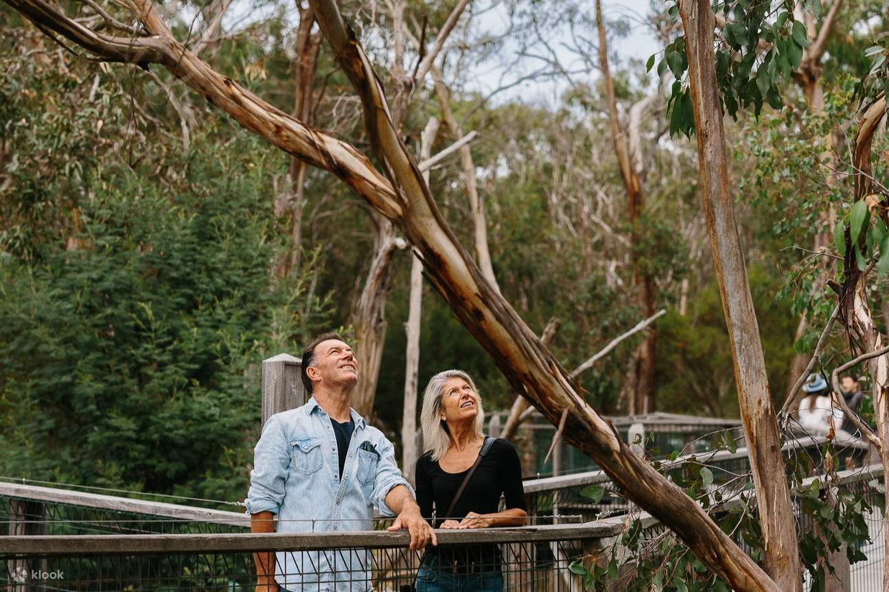 Entrada a la Reserva de Conservación de Koalas en Phillip Island