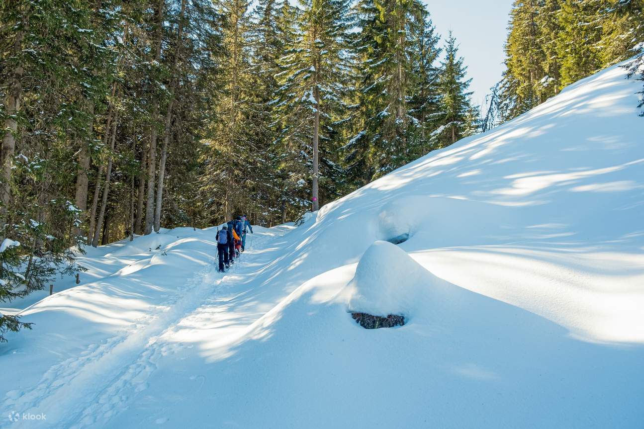 Tur Sepatu Salju Wetterhorn Grindelwald dari Interlaken