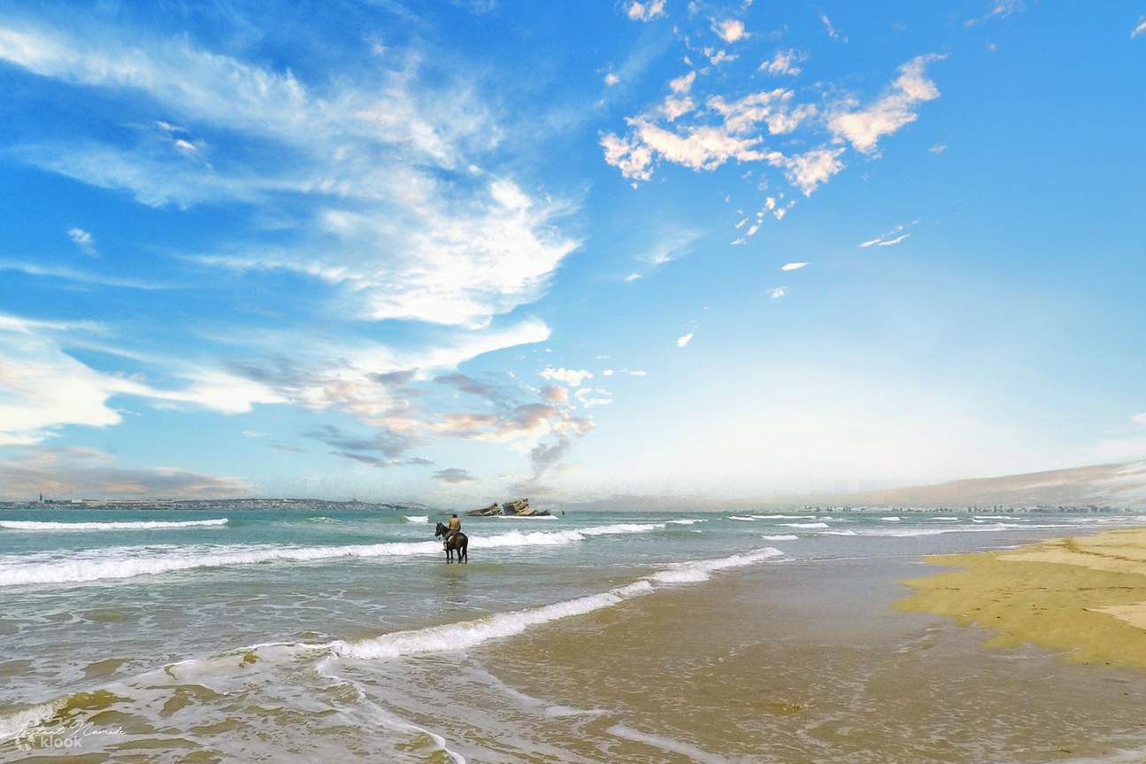 에사우이라 투어