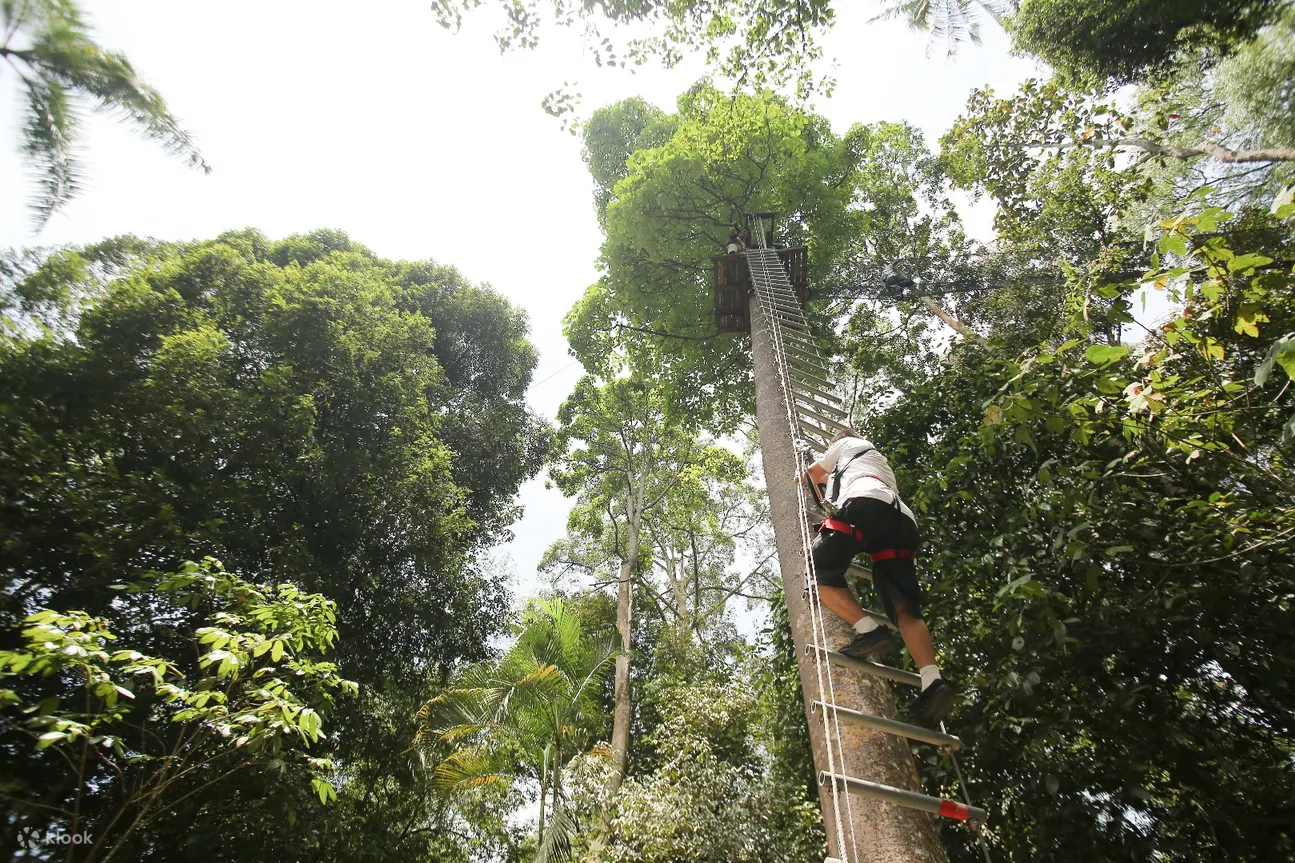 Skytrex Adventure 兰卡威