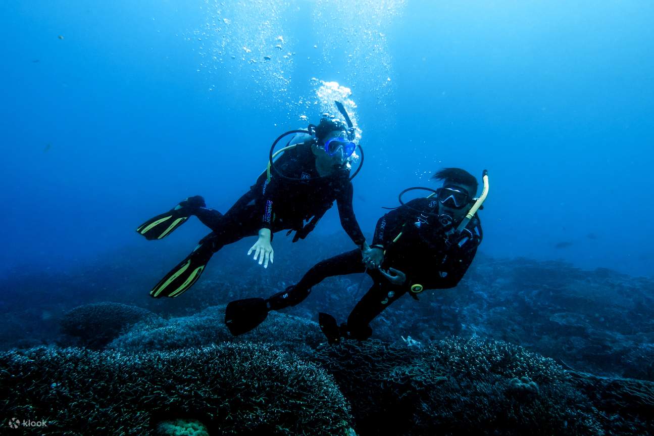 ผจญภัยดำน้ำสุดตื่นเต้นในบาหลี