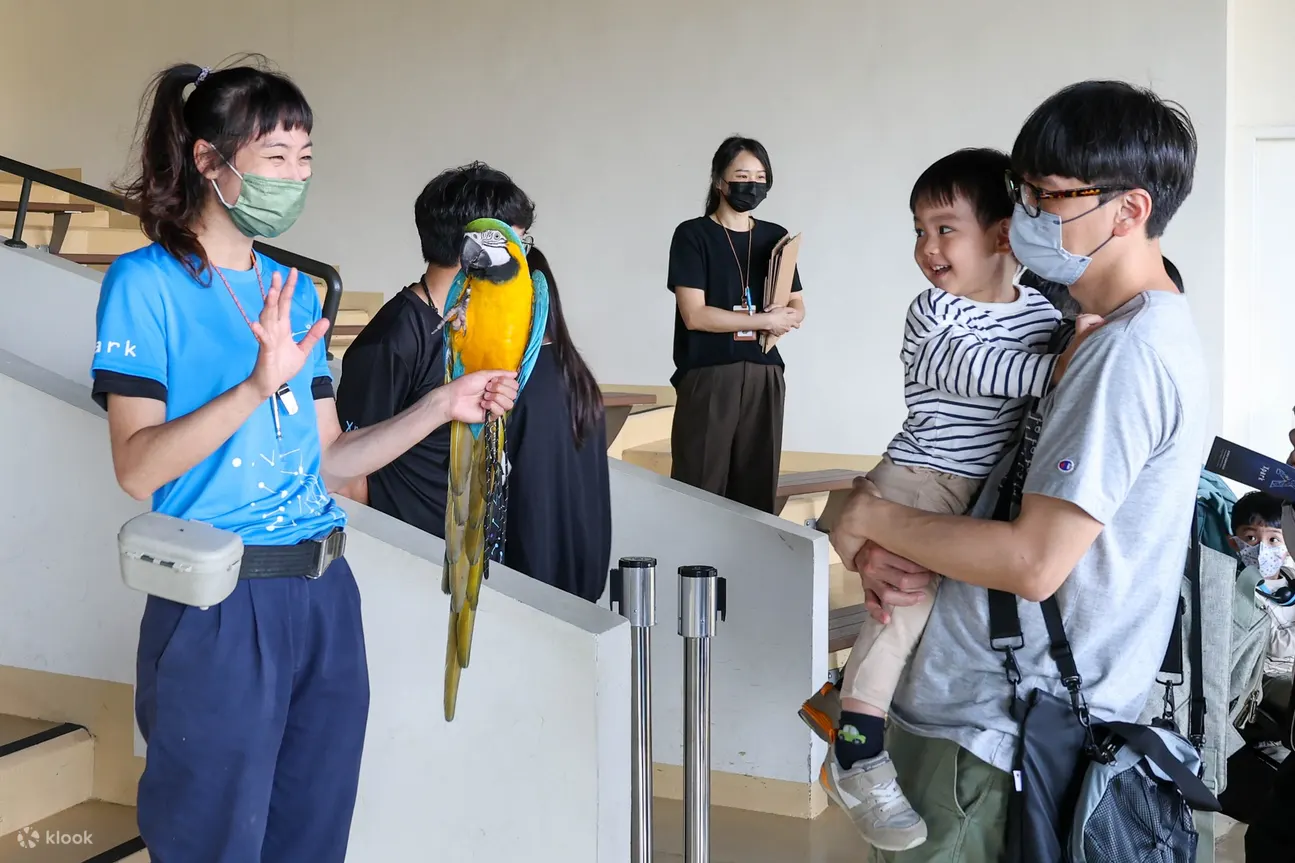 Xpark bird