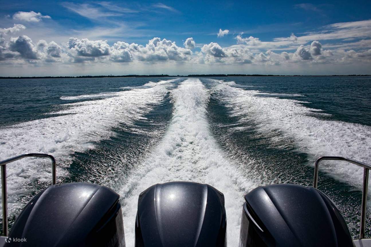 Penghu: Lavender Forest Snorkeling & South Penghu Marine National Park Island Hopping Day Trip & Star Island Yacht