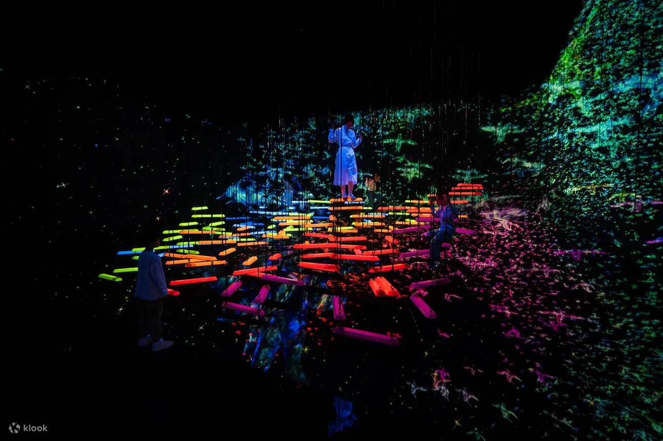 teamlab planets tokyo - Arial Climbing through a Flock of Colored Birds
