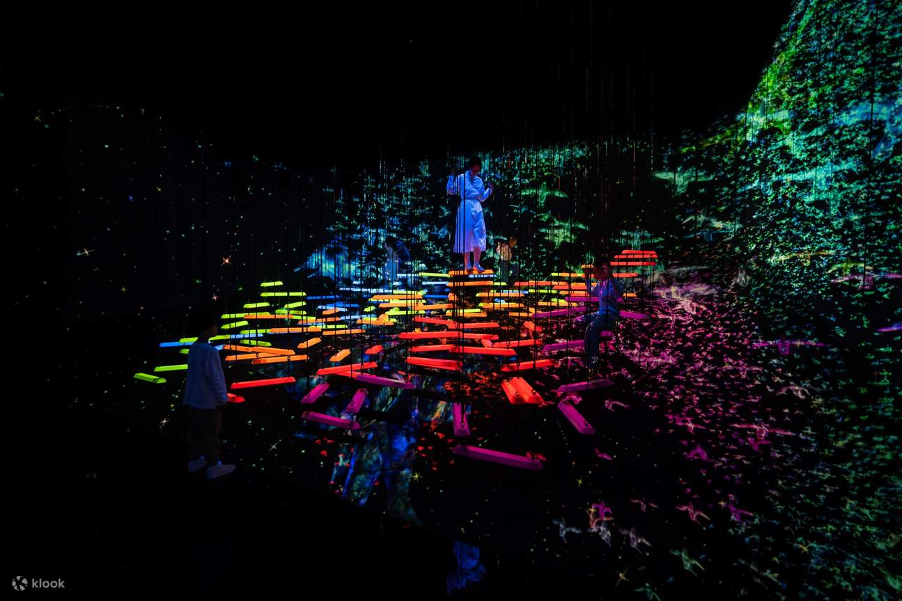 teamLab Planets Tokyo — Аэродинамическое восхождение сквозь стаю цветных птиц