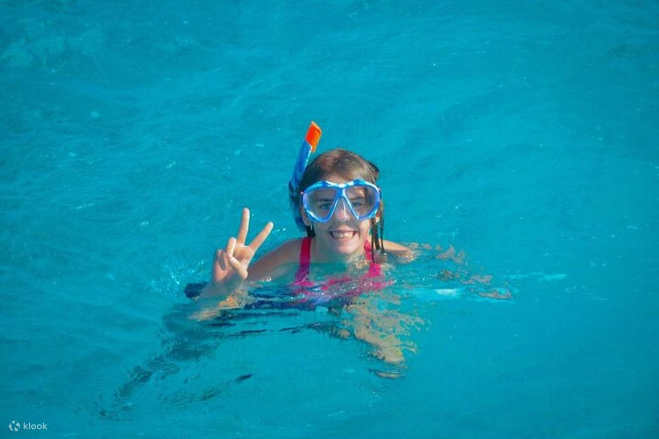 Bơi cùng cá heo, lặn biển VIP kèm bữa trưa - Hurghada