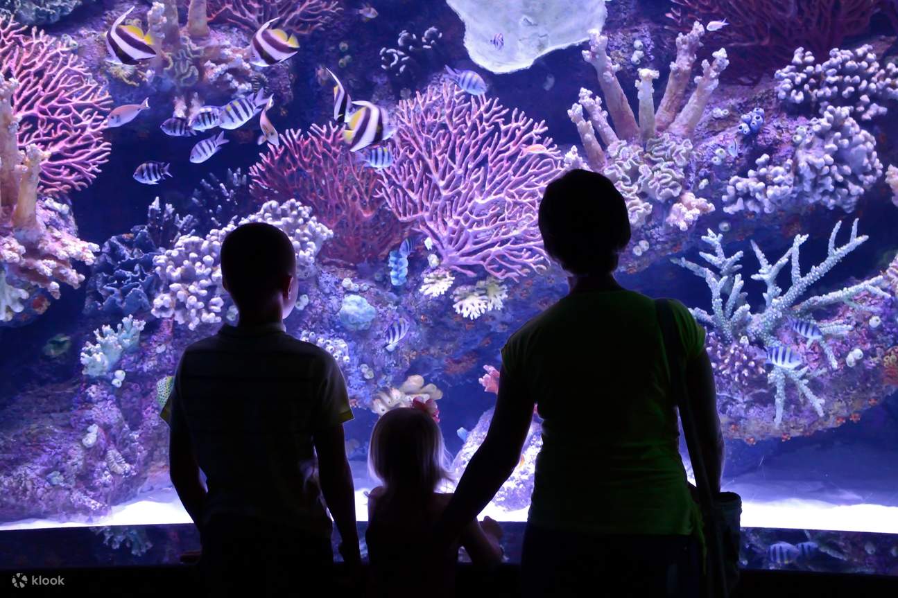 Tiket Masuk Antalya Aquarium dan Wax Museum