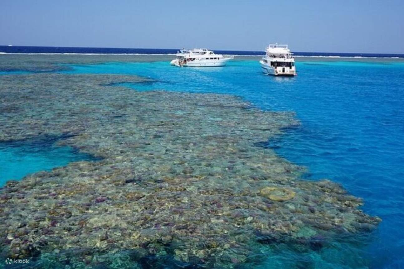 Excursion de snorkeling au Jardin de Corail et baptême de plongée avec transfert - Marsa Alam
