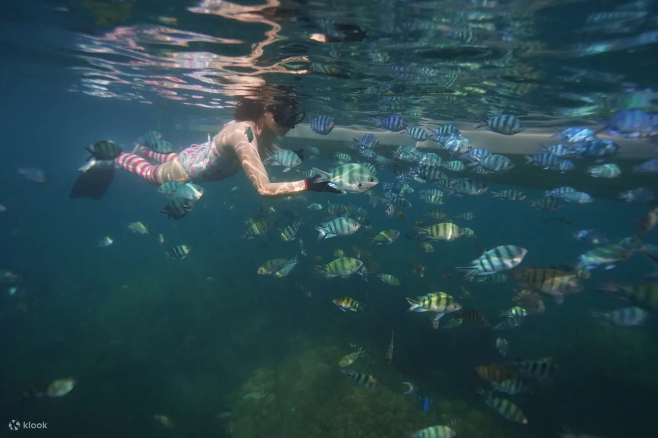 snorkeling