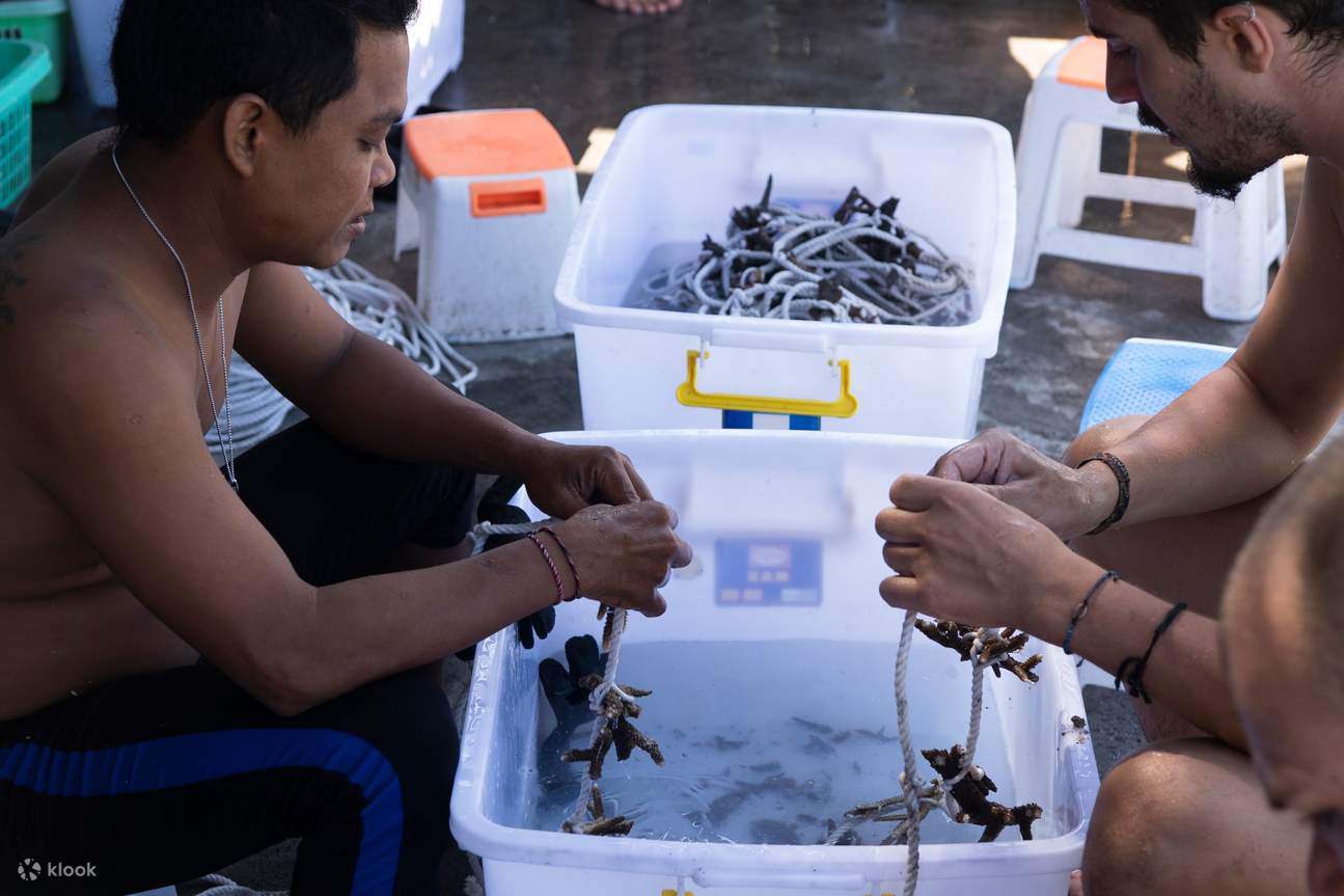 回到岸邊後，我們會將碎片整合到準備好的繩索中。
