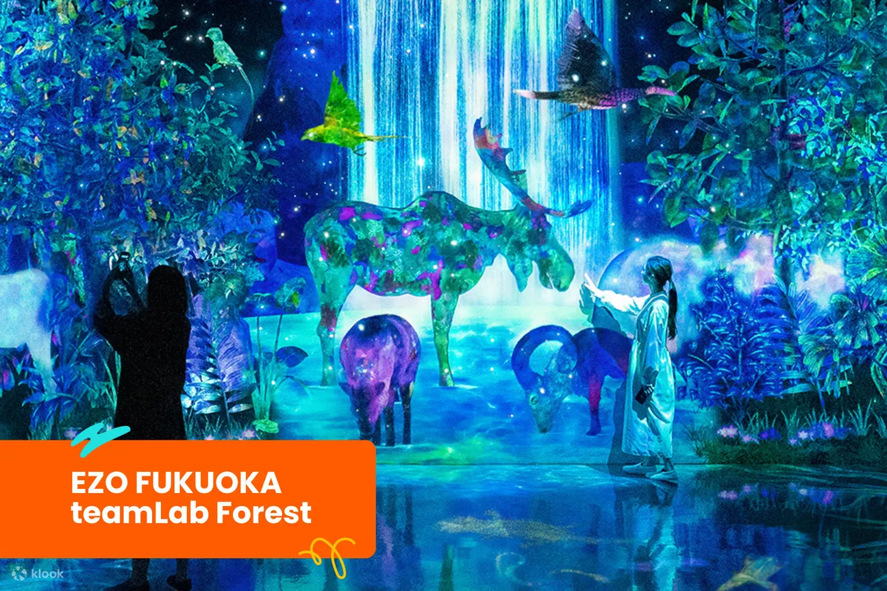 EZO 福岡 teamLab 森林