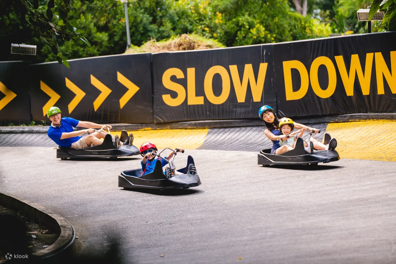 people riding luge