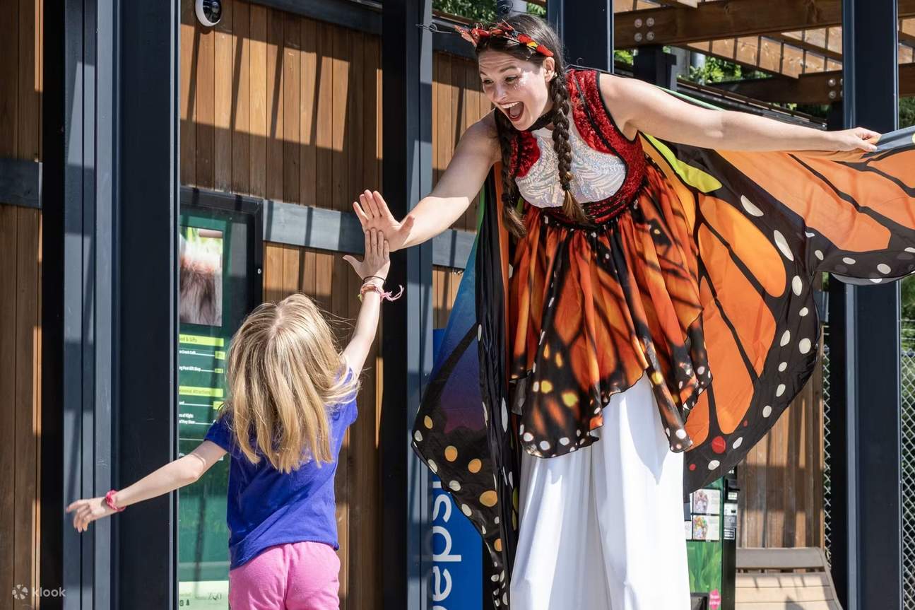 스톤햄 스톤 동물원 티켓