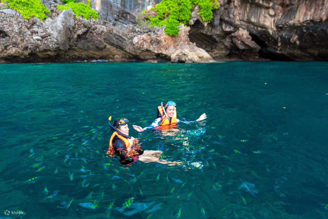 Lặn biển ngắm cá đầy màu sắc