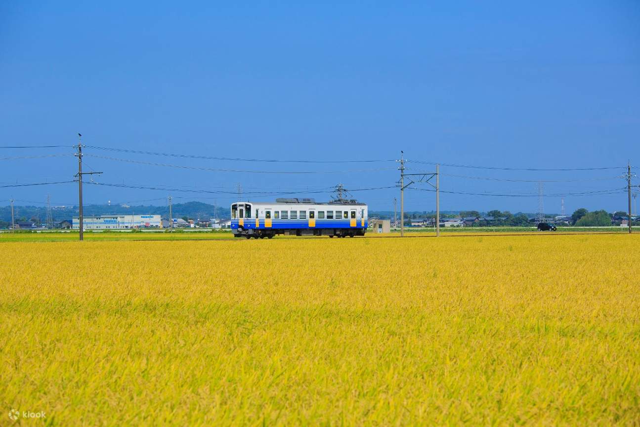 Echizen Railway and Keifuku Bus Unlimited Ride Pass - Klook United