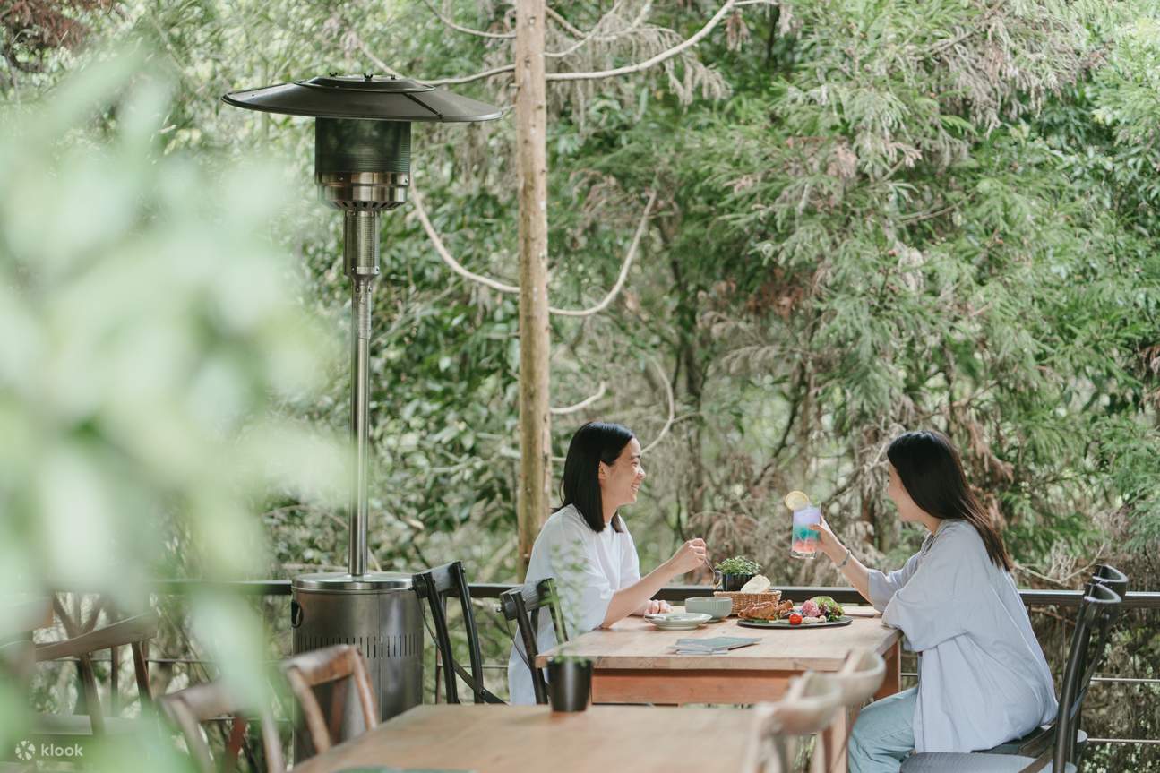 Eintrittskarten für den Lavendel-Wald in Hsinchu/Taichung
