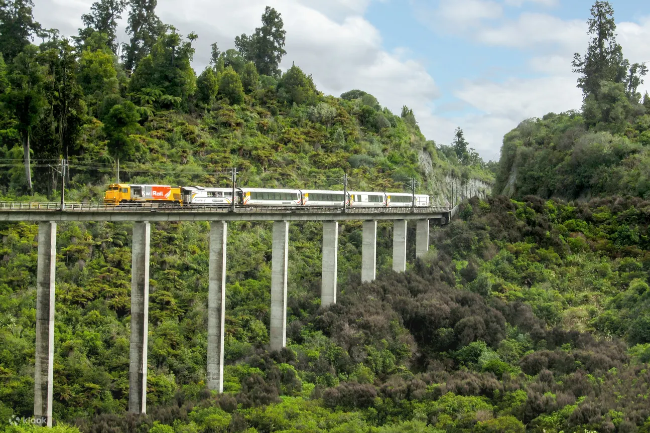 搭乘觀光列車，享受沿途美景，精神飽滿地抵達威靈頓或奧克蘭，準備好展開精彩的探索之旅