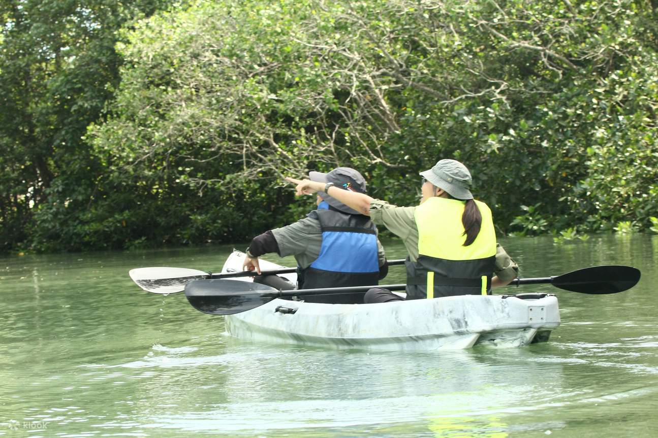 Aventura en kayak por el río con traslado dentro de Desaru - Johor