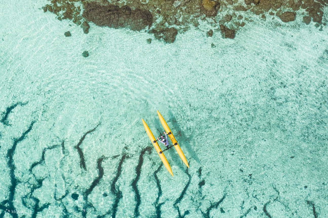 Rottnest Island Waterbike Adventure Tour in Perth Klook