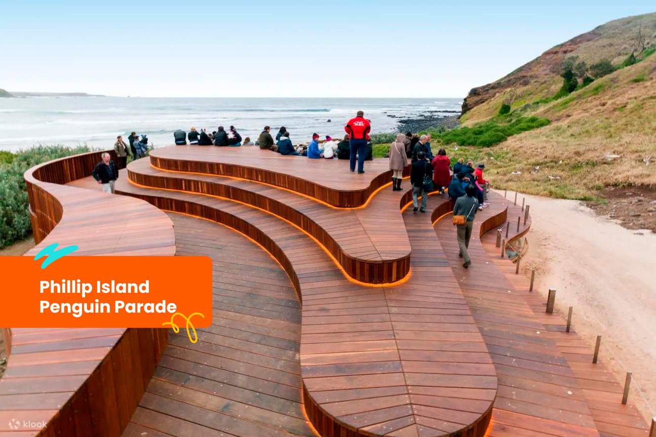 Billet pour le défilé des pingouins de Phillip Island