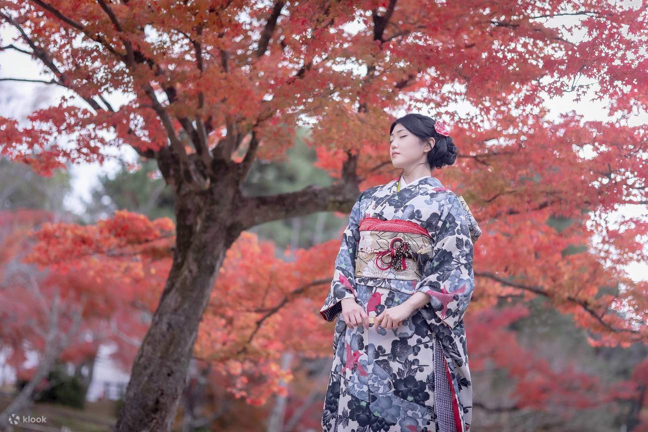 교토 사진 서비스