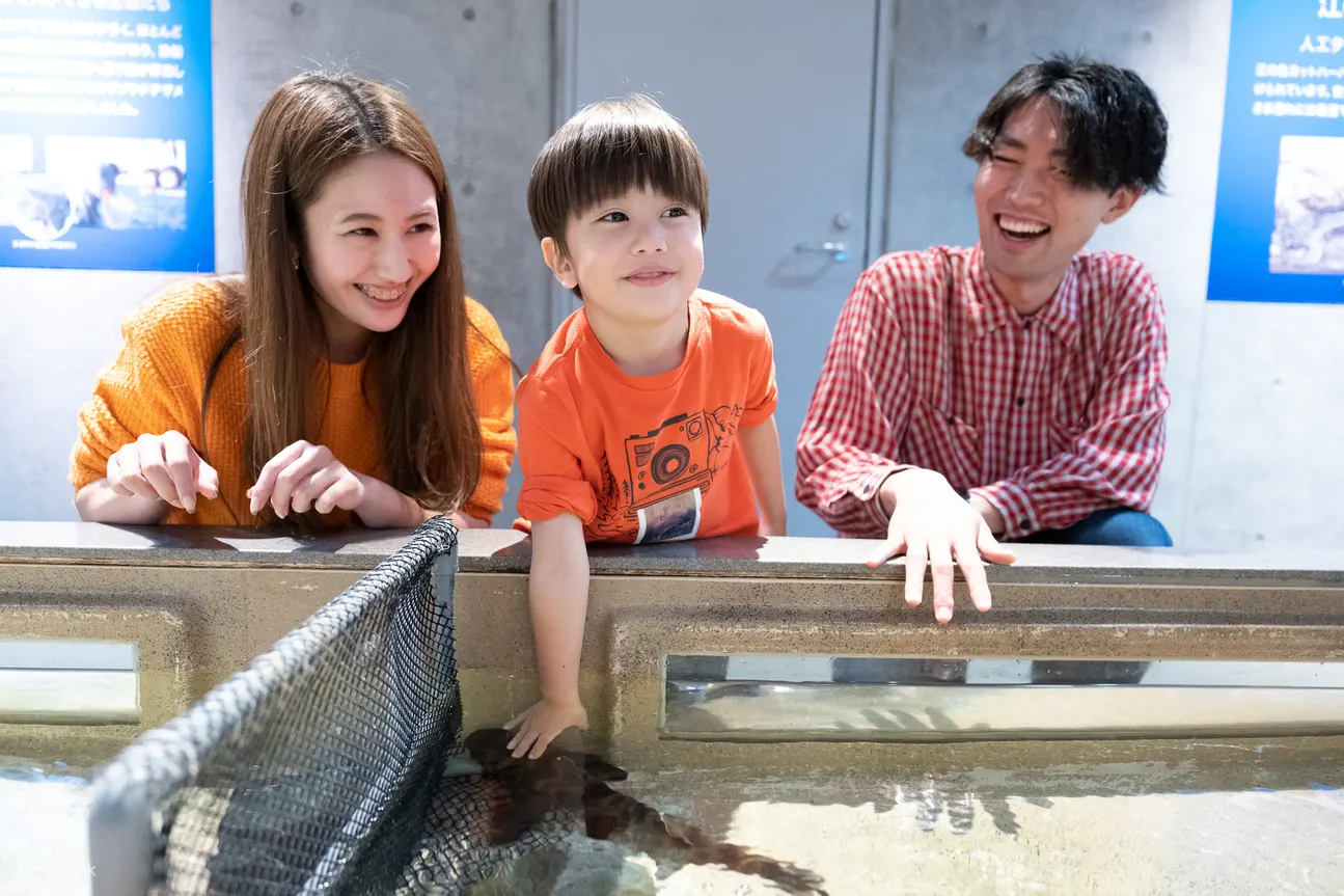 新江之岛水族馆