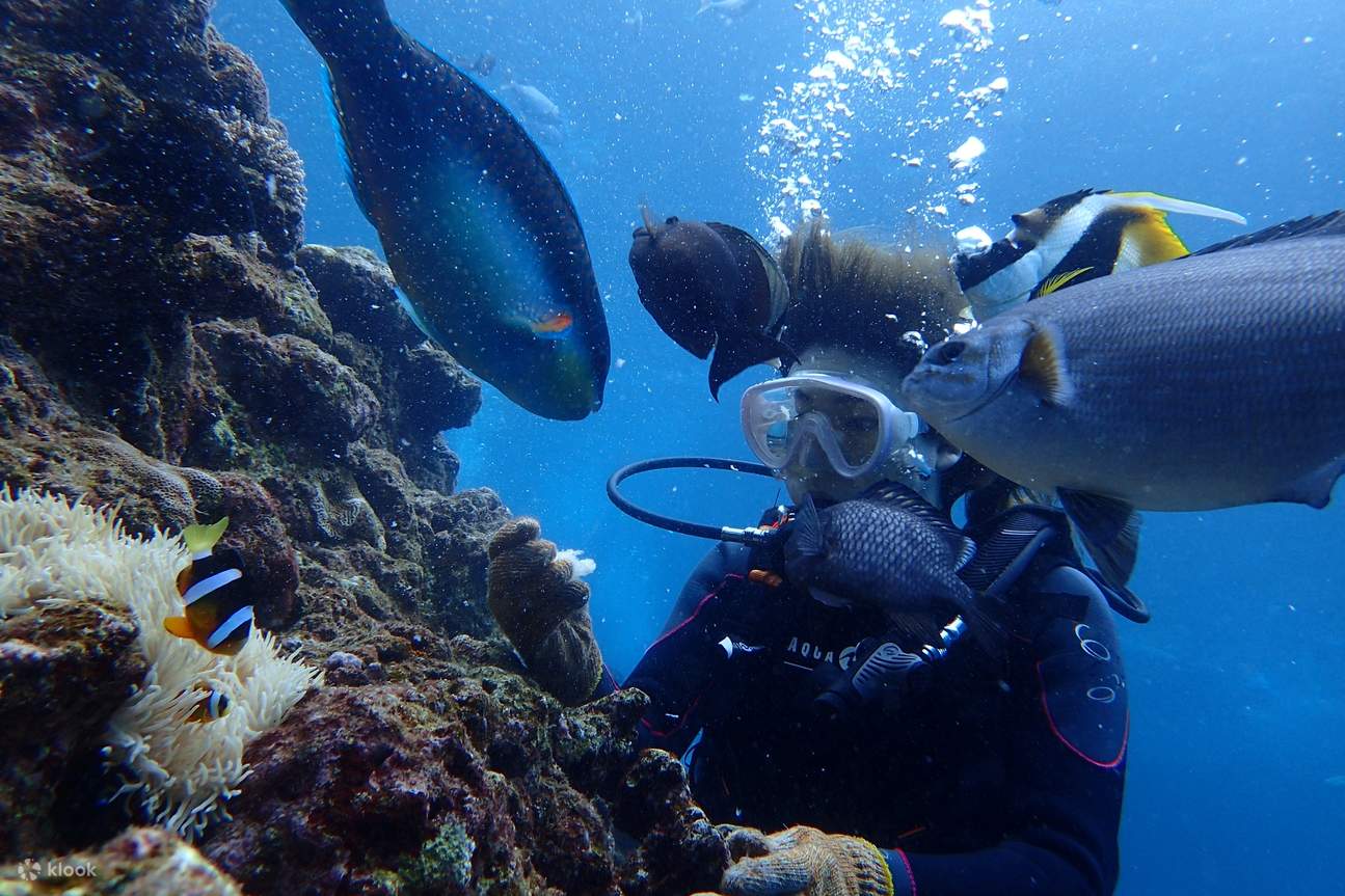 onna village underwater activities 