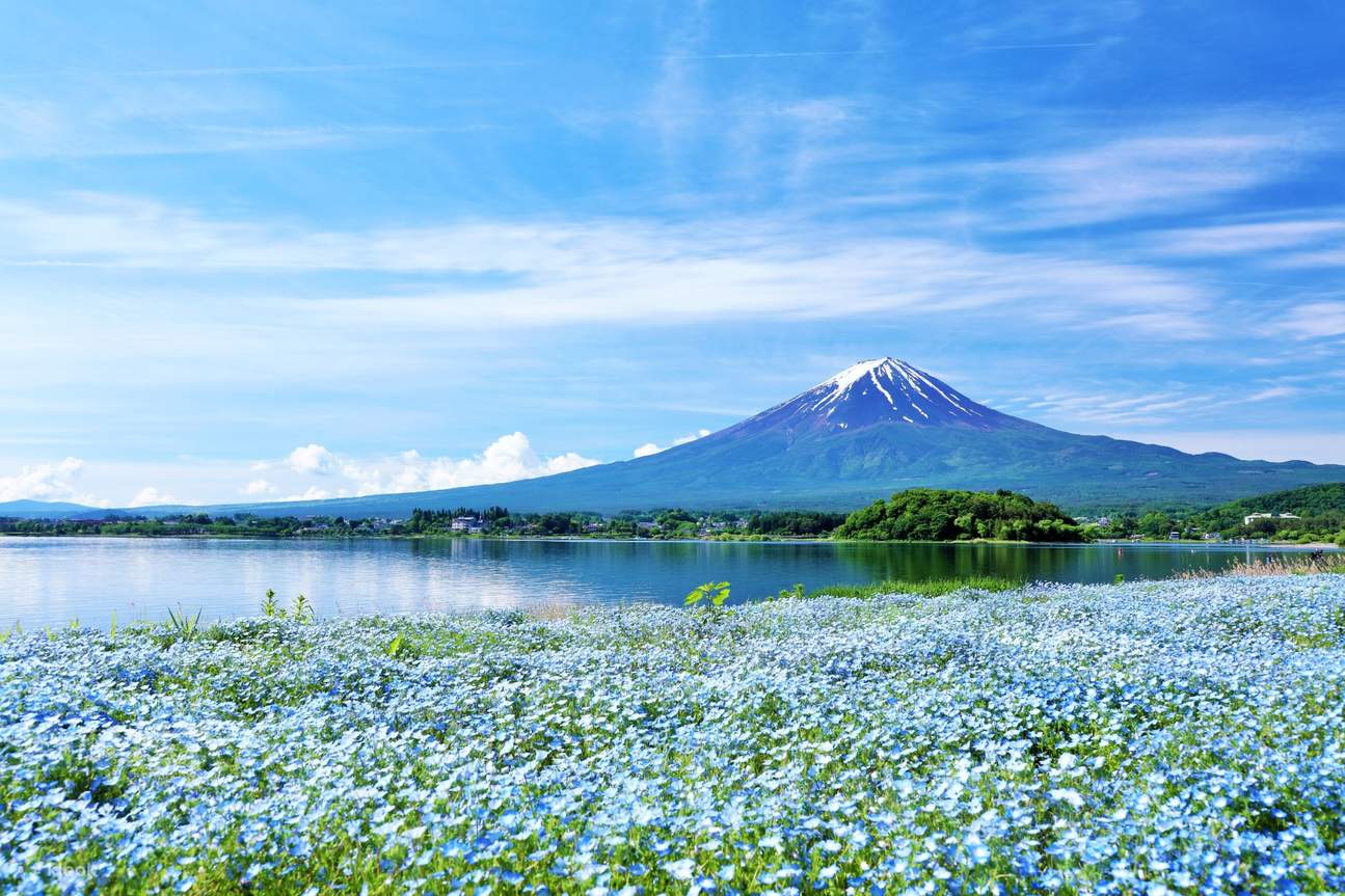 Lake Kawaguchi and Mt. Fuji Panoramic Ropeway Bus Tour - Klook United ...