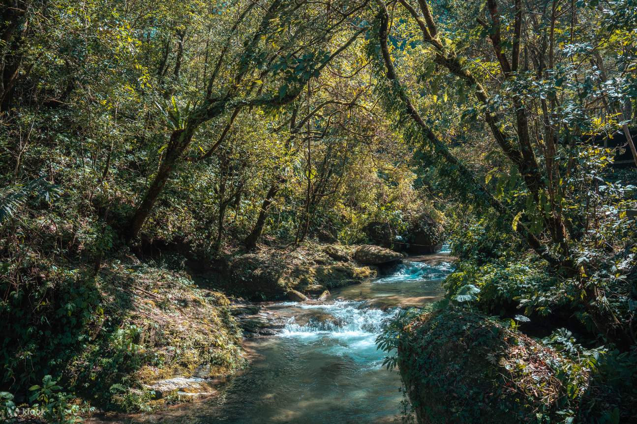 Berkemah di Hsinchu｜Fly Bird Chacha｜Pengalaman Bermain di Alam Bebas｜Glamping Mewah Satu Malam Empat Kali Makan	