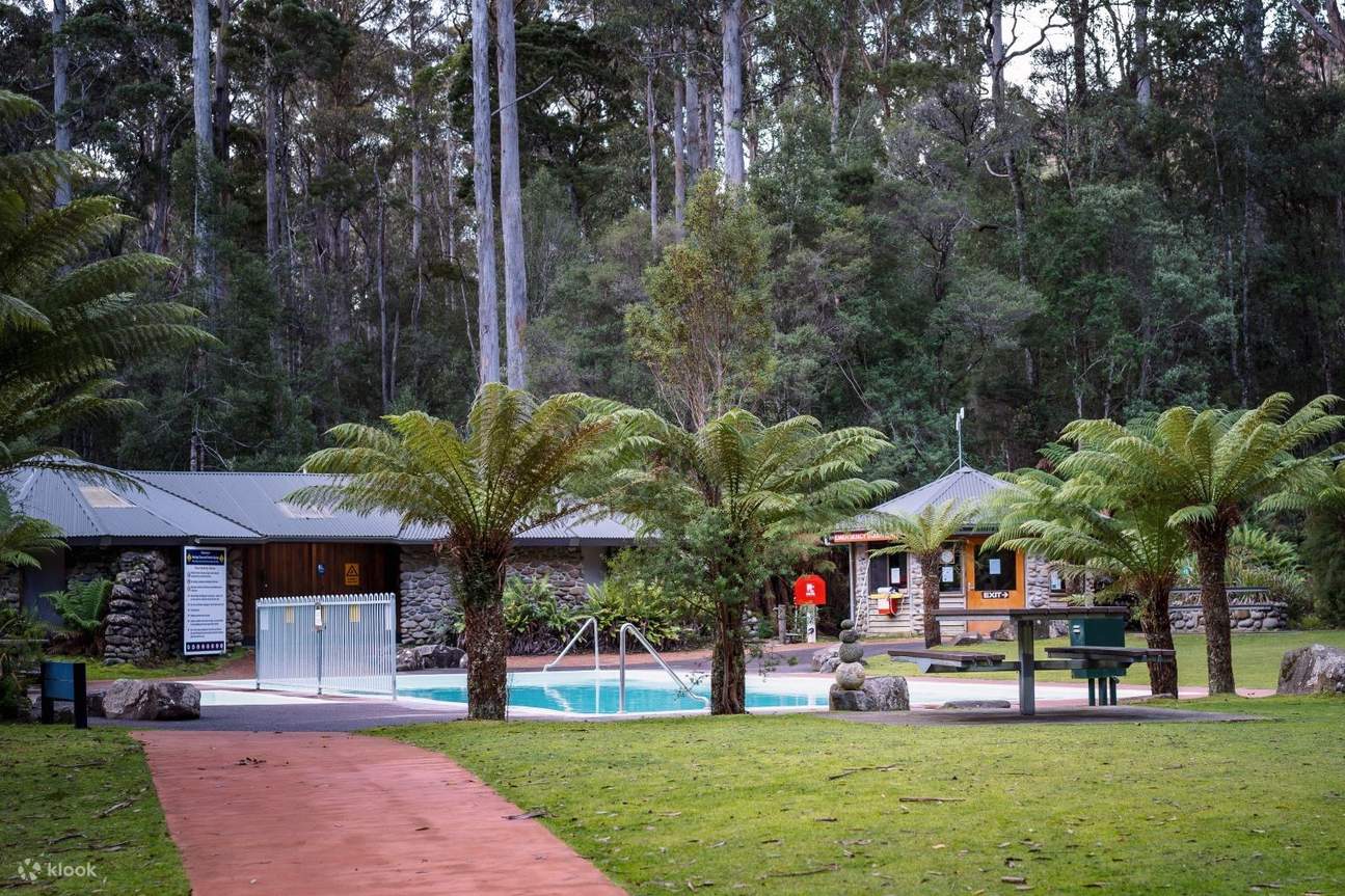 Hastings Caves, Thermal Springs & Tahune Airwalk Tour from Hobart - Klook