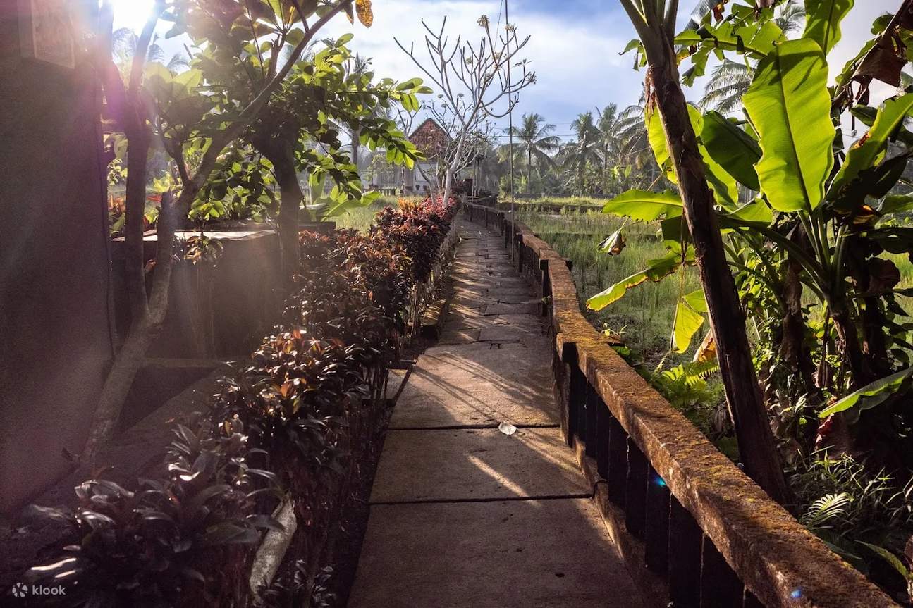 Trại hè Firefly 7 ngày ở Ubud Bali