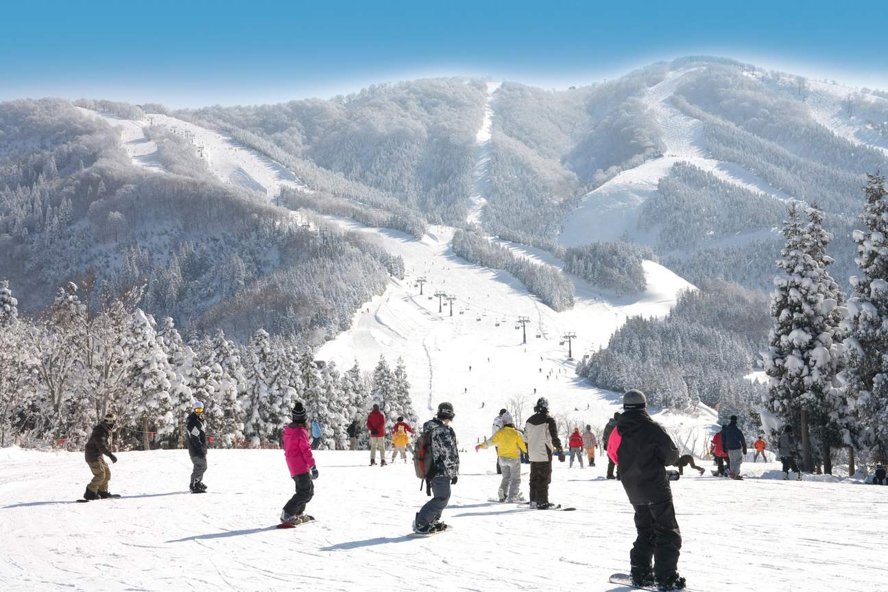 Japan Snow Resort Alliance Biglietto d'ingresso comune per 24 stazioni sciistiche