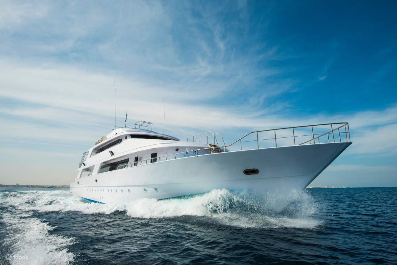 Aventure de plongée sous-marine pour débutants, déjeuner et transfert – Sharm El Sheikh