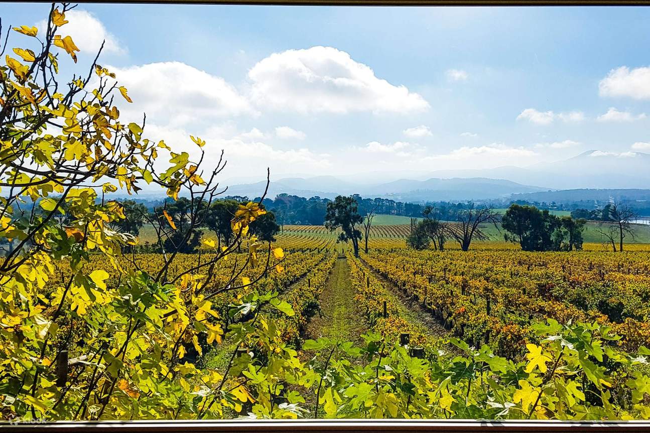 Tur sehari penuh dari Melbourne