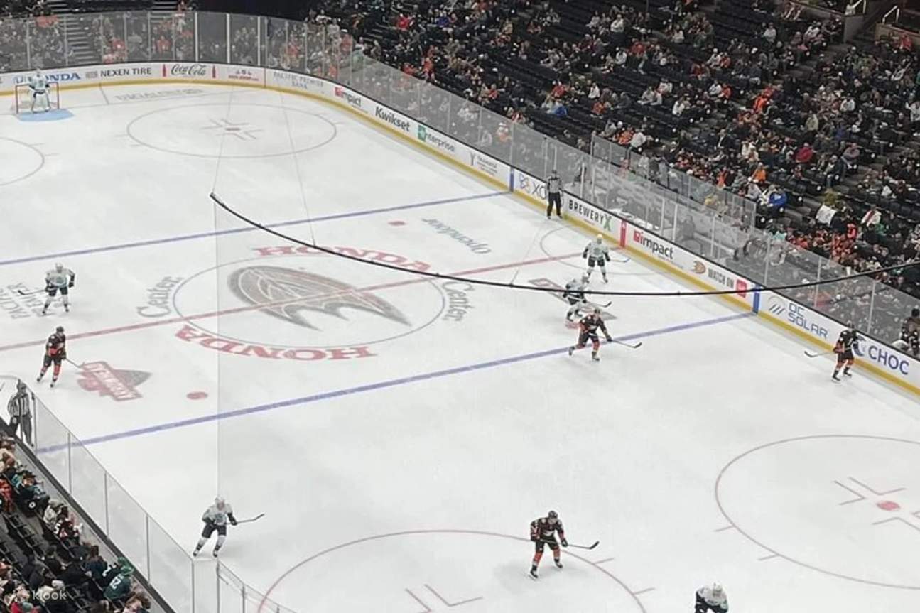 Anaheim Ducks Ice Hockey Game at Honda Center Klook