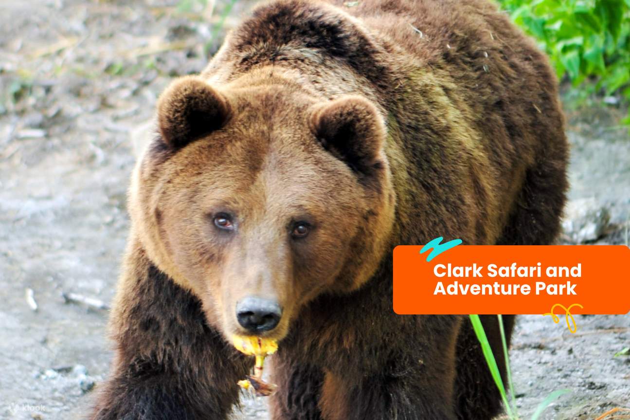 Klook客路通票 苏比克-克拉克