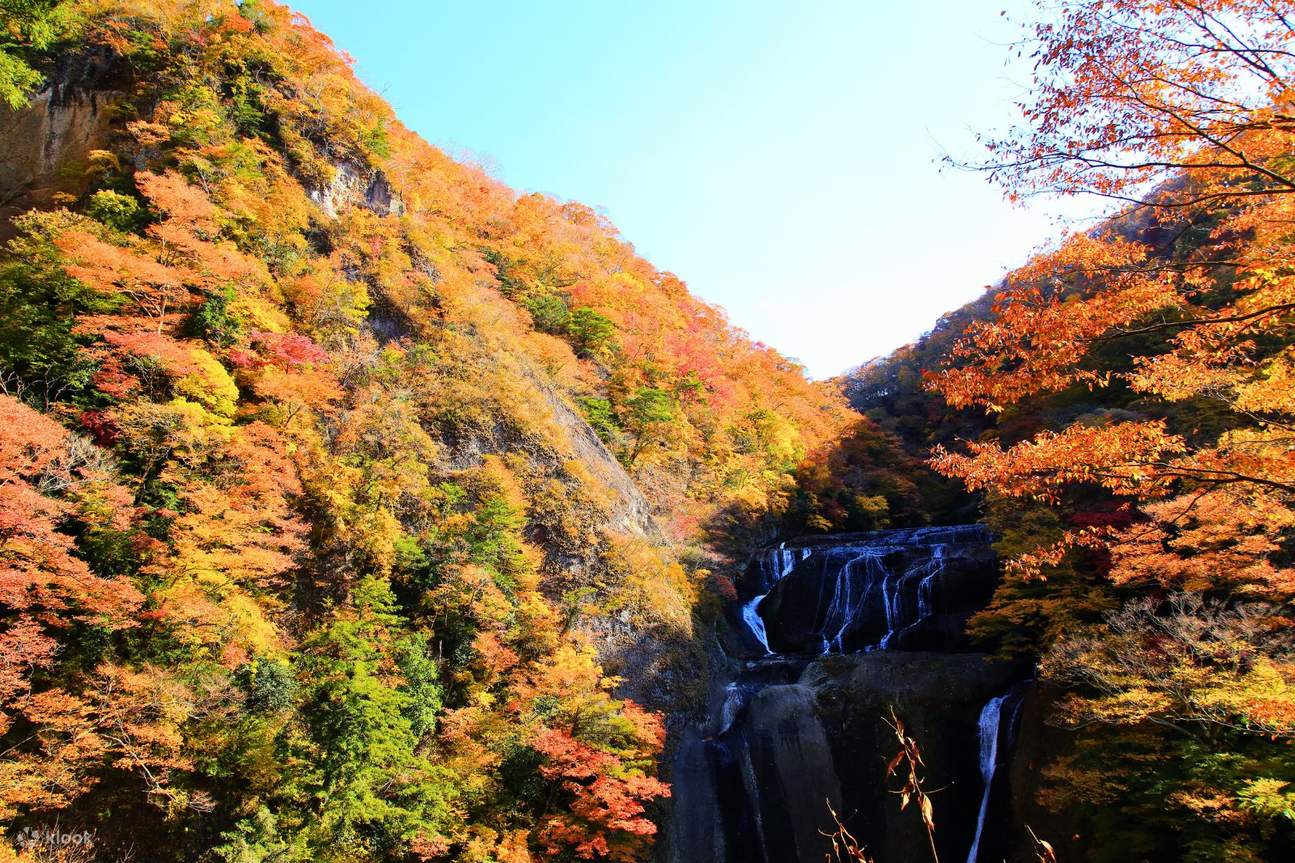 Ibaraki: One-day trip to Hitachi Maple Leaf Famous Spots