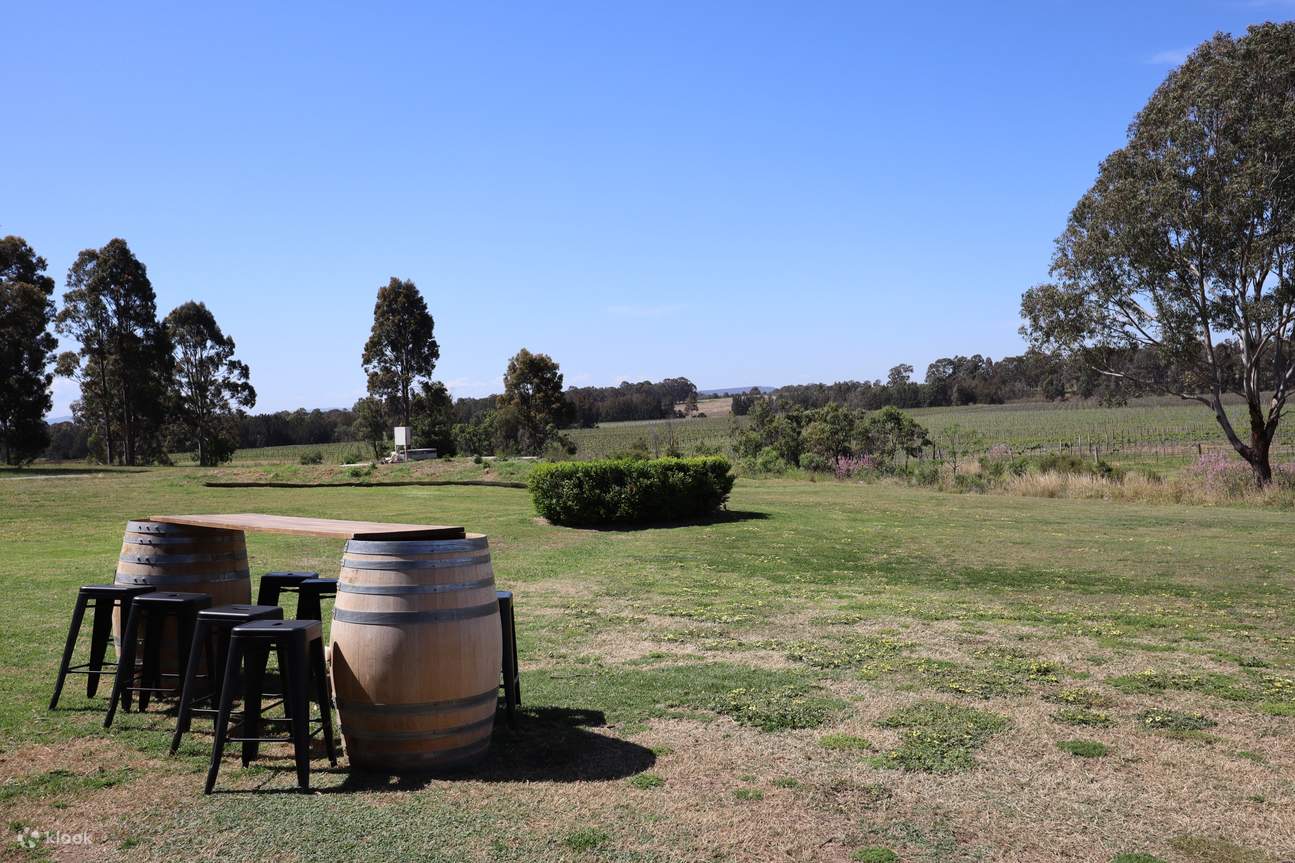 Wine Tasting in Hunter Valley by Glandore Estate Klook India