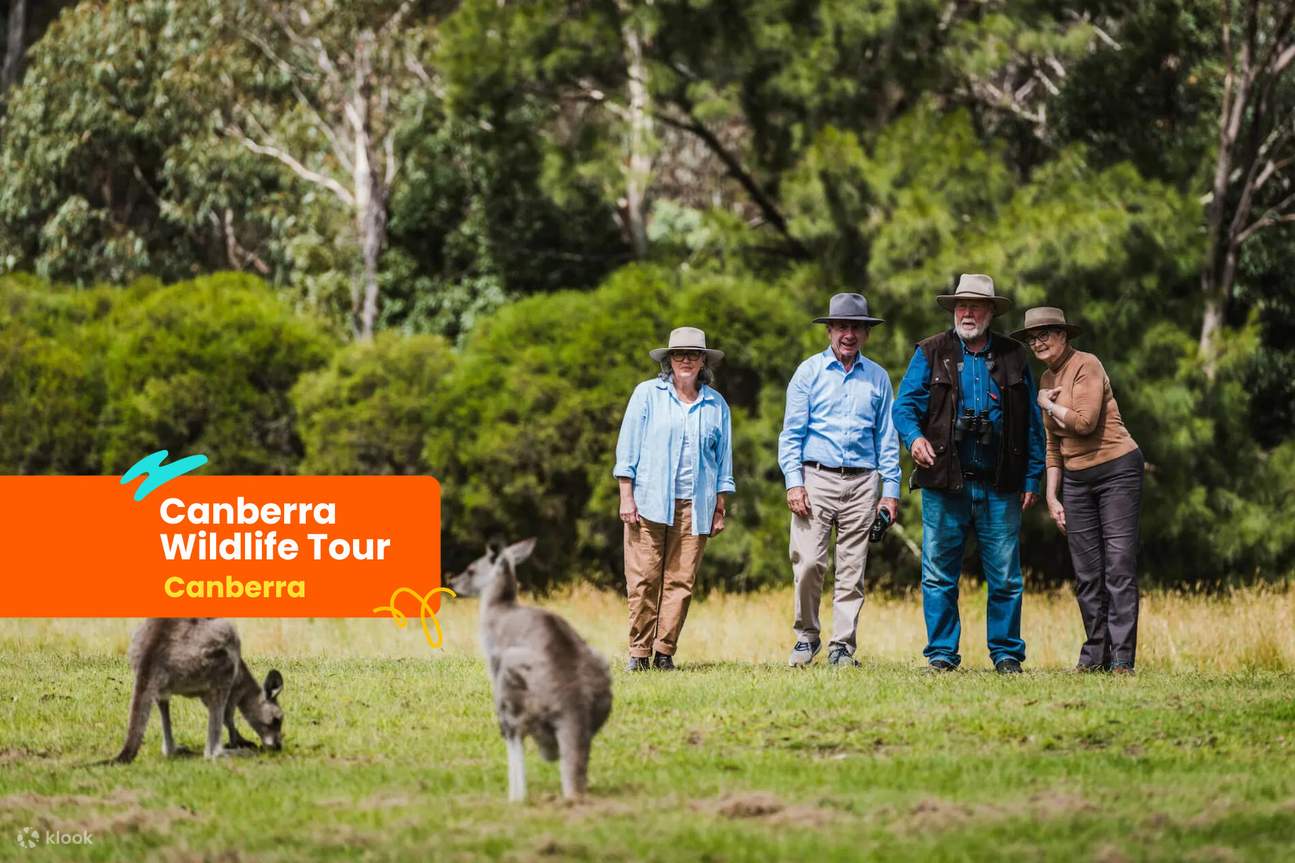canberra wildlife tour