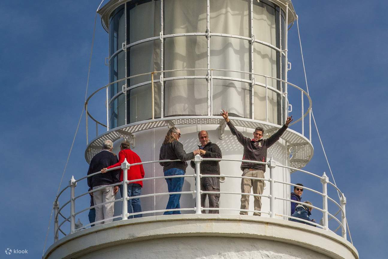 Ammira panorami magnifici 