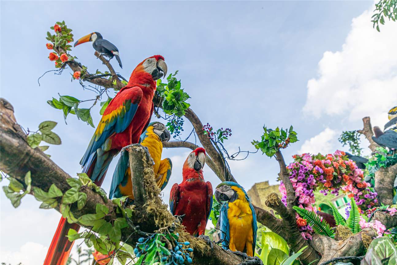 Chimelong Bird Paradise de Guangzhou
