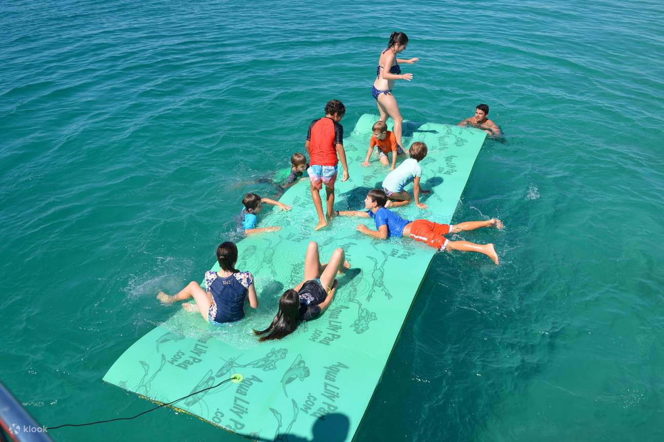 observation des baleines à Hervey Bay
