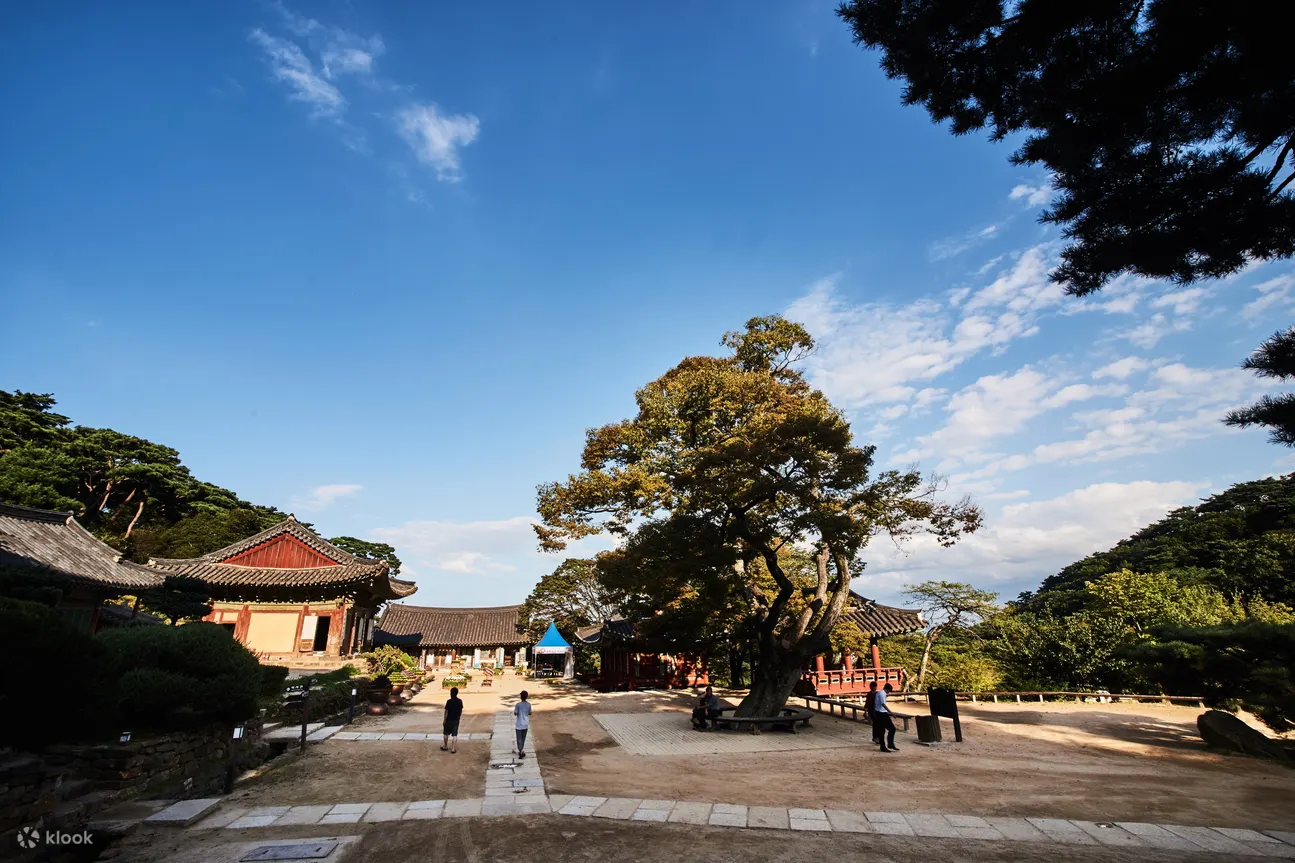 韩国旅游