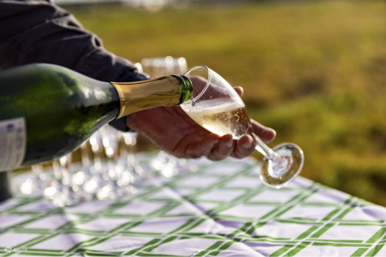 Vol en montgolfière sur la Gold Coast, bulles et Go