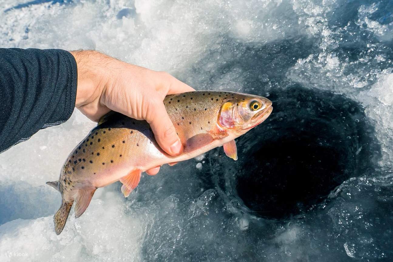 Câu cá ở Phần Lan