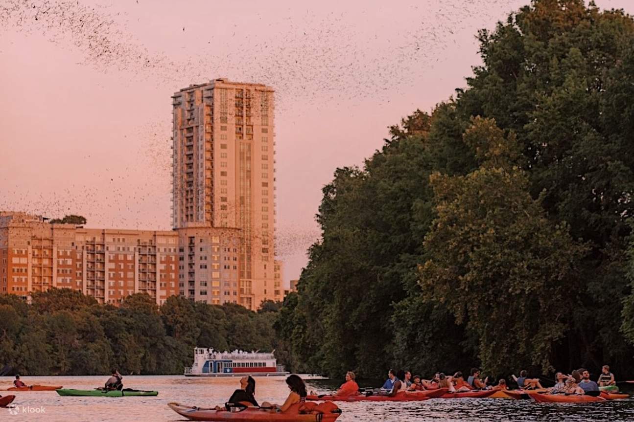 Kayaking Bat Austin Austin Sunset Bat Watching Kayak Tour - Klook