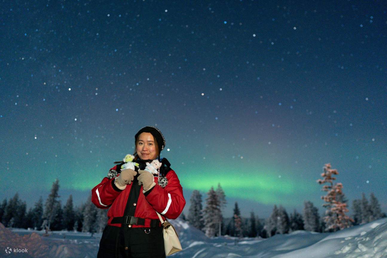 Marveling at the stunning Northern Lights, a true wonder of the natural world