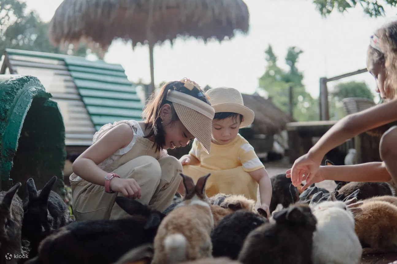 kids interacting with animals